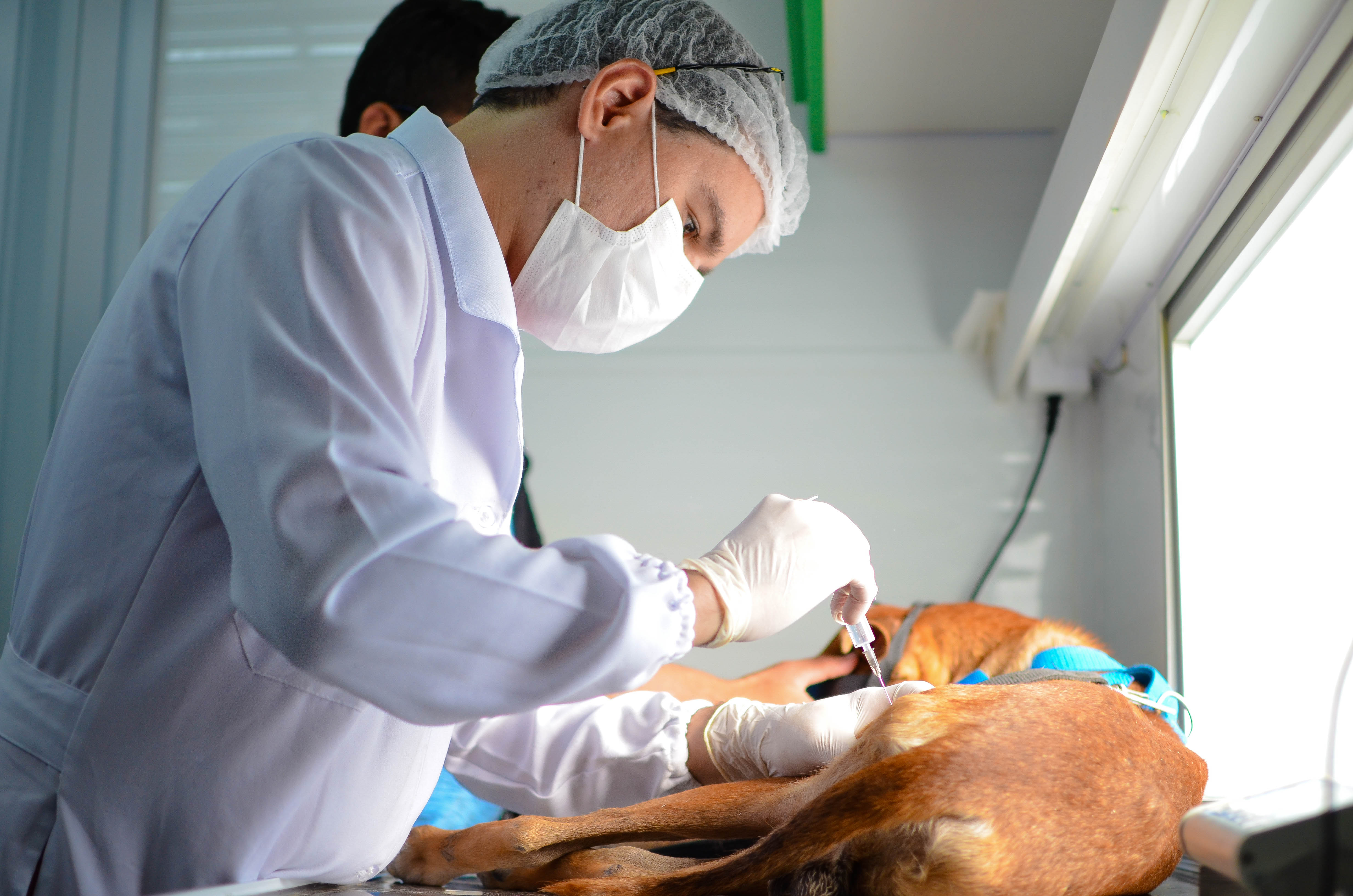Atuam no VetMóvel quatro médicos veterinários, sendo um clínico geral, um anestesista e dois cirurgiões