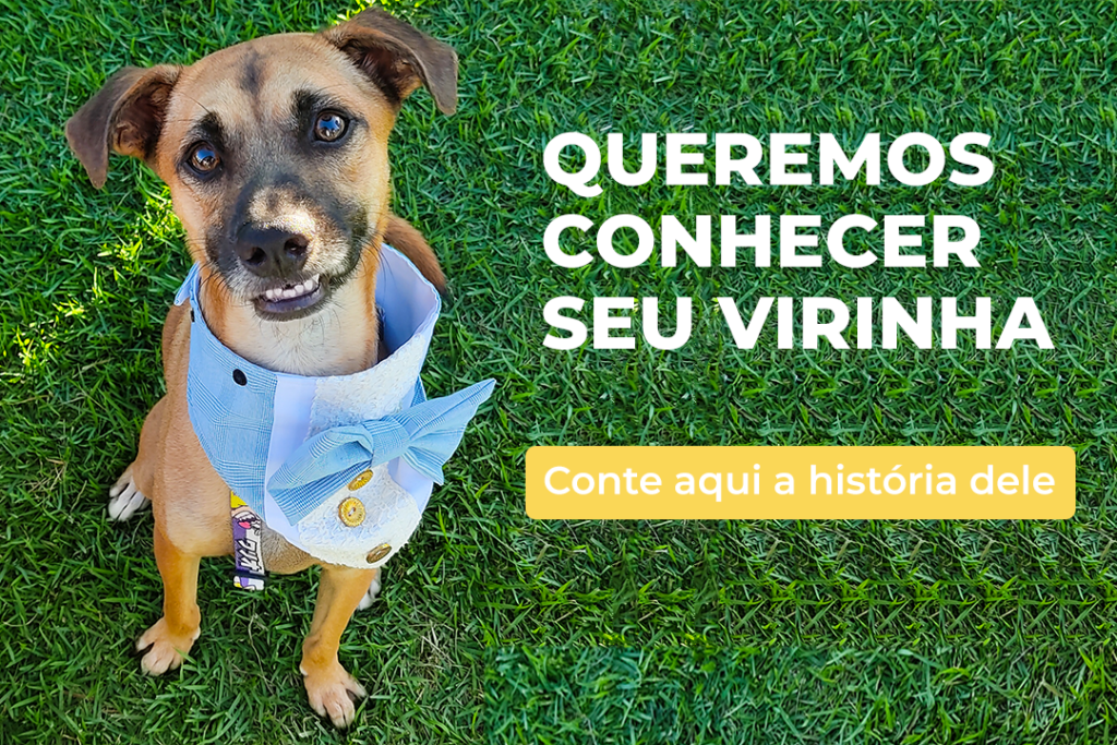 Conte a história do seu virinha
